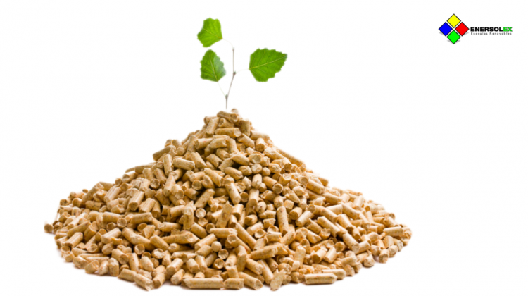 ¿Cómo funciona la energia biomasa? Usos, tipos y precio de biomasa ecologica